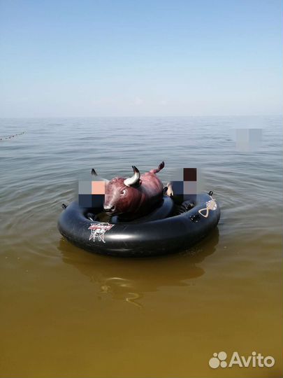 Надувной бык, rodeo