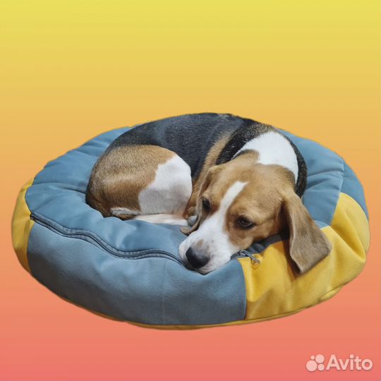 Лежанки для собак на заказ
