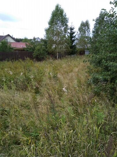 Участок 10 сот. (СНТ, ДНП)