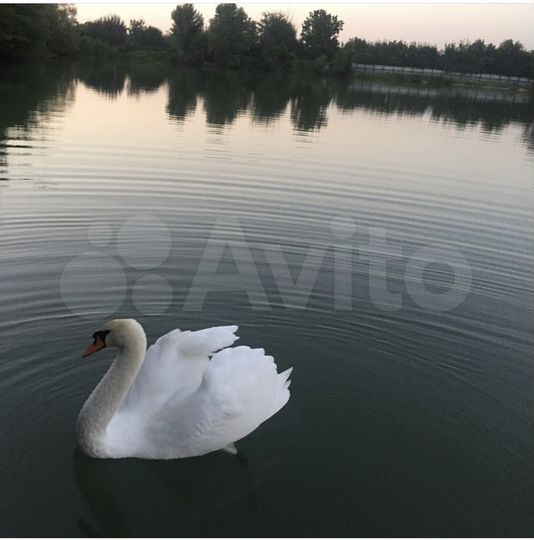 Участок 5 га (ИЖС)