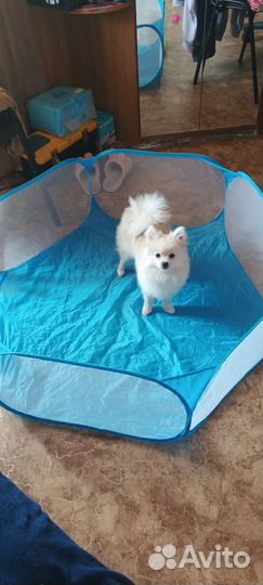 Манеж для животных