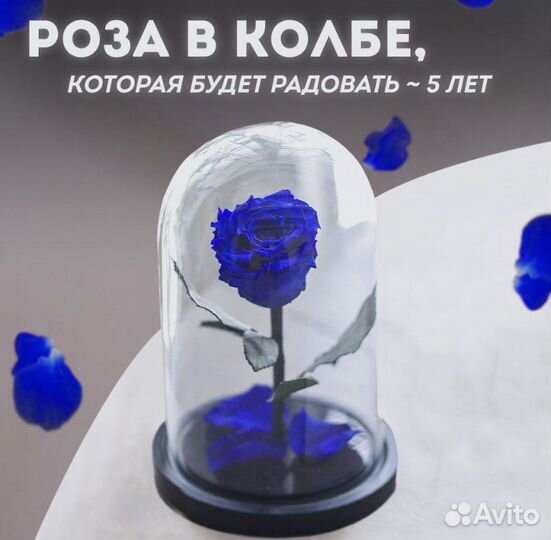 Вечная роза в колбе синяя