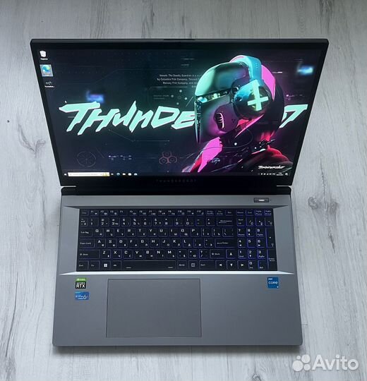 Идеал ThunderRobot 17.3 i5-12450H/16GB/512GB/RTX 3