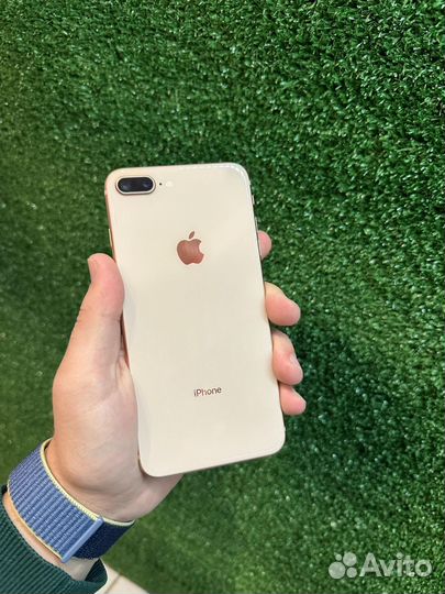 iPhone 8 Plus, 256 ГБ