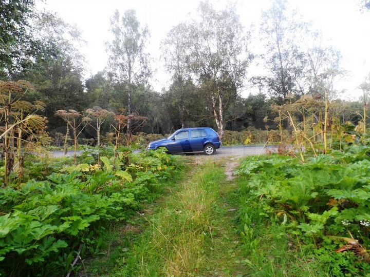 Участок 7 га (СНТ, ДНП)