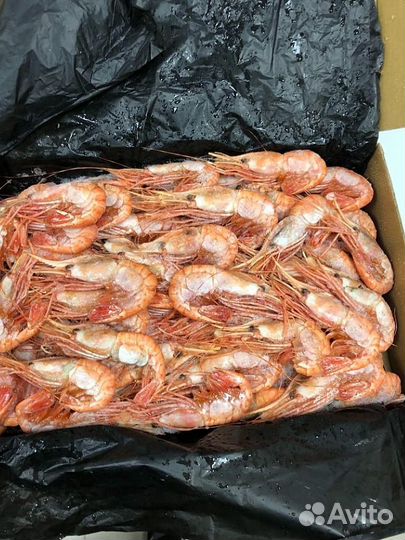 Креветка Ботан