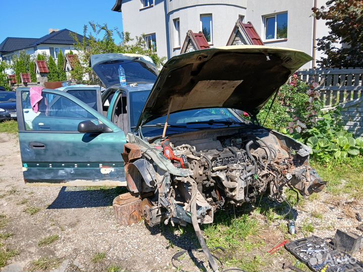 Разбор шафран