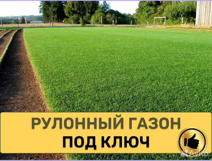 Рулонный газон