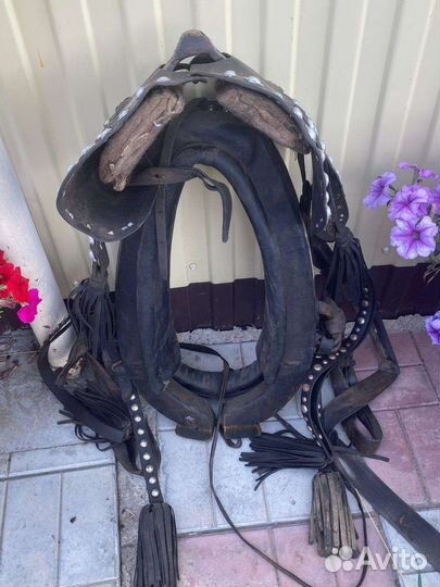 Сбруя для лошади