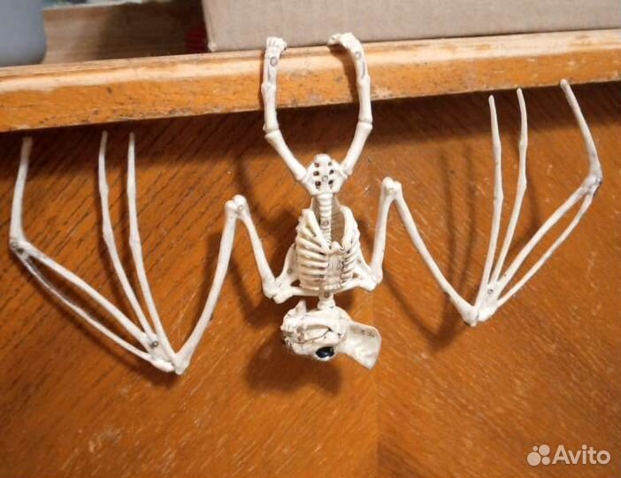 Летучая мышь, декор для дома