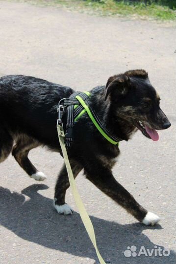 Дикуша Ляля всего боится