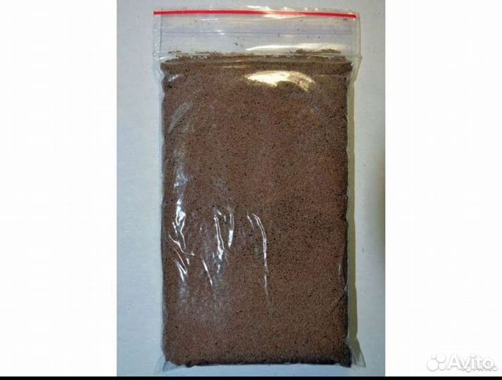 Яйца (циcты) apтемии из Крыма