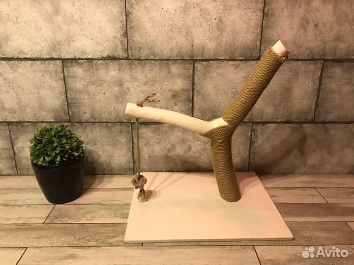 Когтеточка