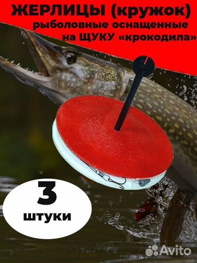 Кружки оснащенные для рыбалки летние жерлицы