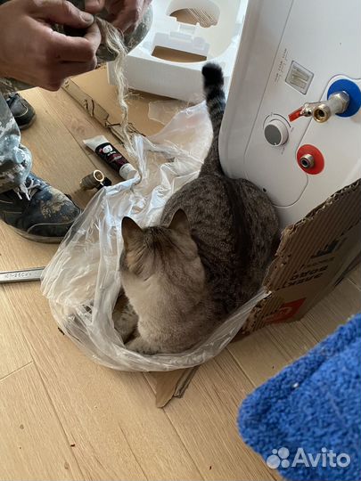 Сантехник/услуги сантехника/частный мастер