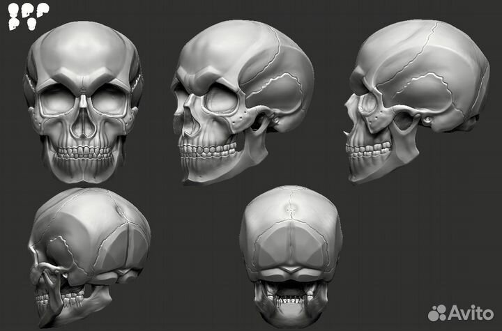 Обучение моделингу и скульптингу в Zbrush/Blender