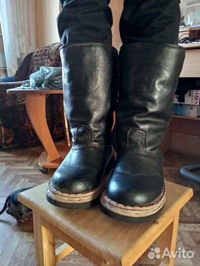 Сапоги мужские