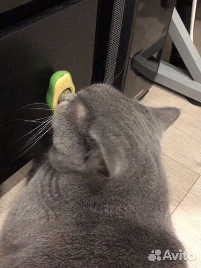 Кошачья мята в виде авокадо, игрушка для кошек