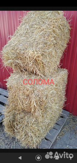 Зерно,фарш,горчица, веники,сено,комбикорм, солома