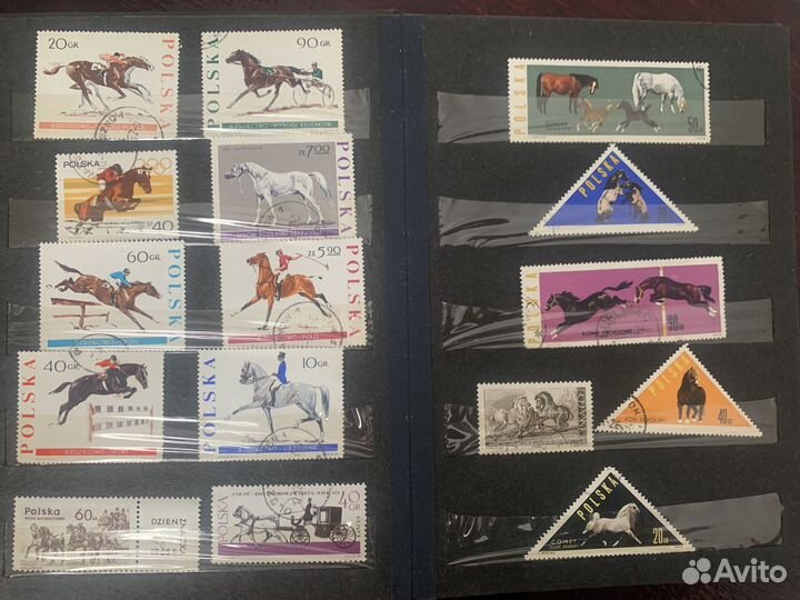 Почтовые марки СССР. Лошади