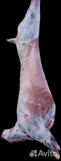 Мясо баранина свежая