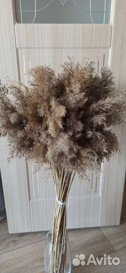 Букет из сухоцветов