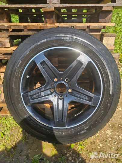 AMG pirelli 275/55/19