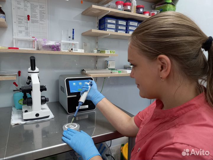 Вызов ветеринарного врача на дом