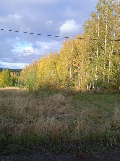 Участок 12 сот. (ИЖС)