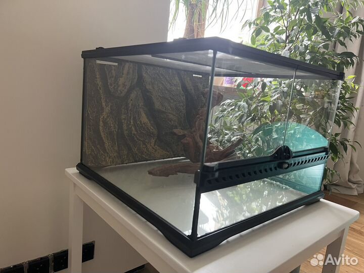 Террариум для эублефара или змеи Exoterra 45x45x30