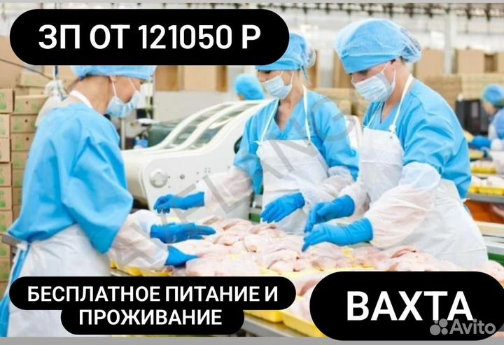 Изготовитель полуфабрикатов.Вахта