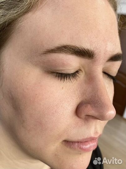 Брови Северск