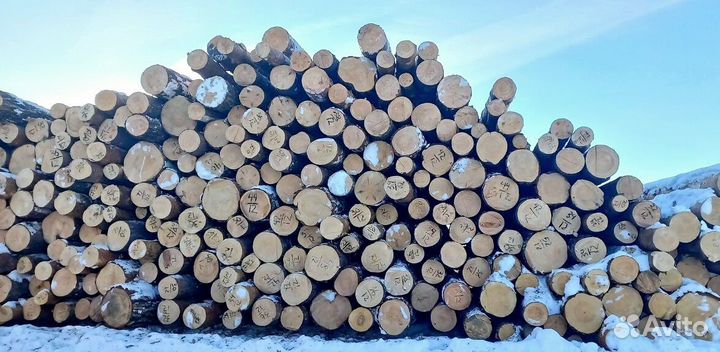 Круглый лес