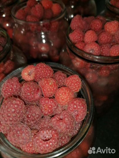 Малина ягода свежая вкусная ароматная кусты