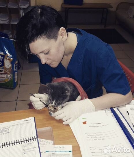 Усыпление животных на дому (эвтаназия )