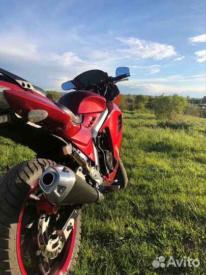 Мотоцикл Racer 250