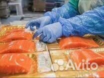 Упаковщик рыбы Еженедельные выплаты