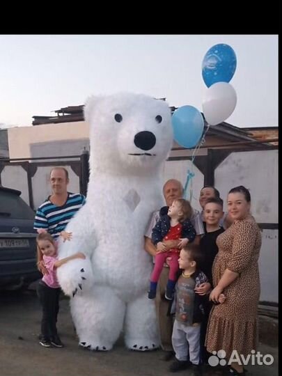 Белый мишка поздравление