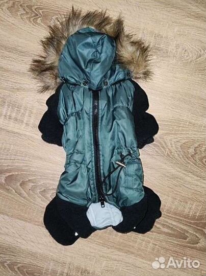 Зимний комбинезон для маленьких собак