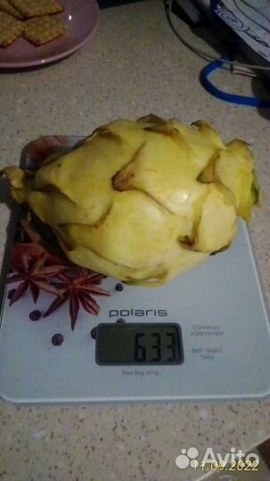 Питахайя желтая семена и саженцы