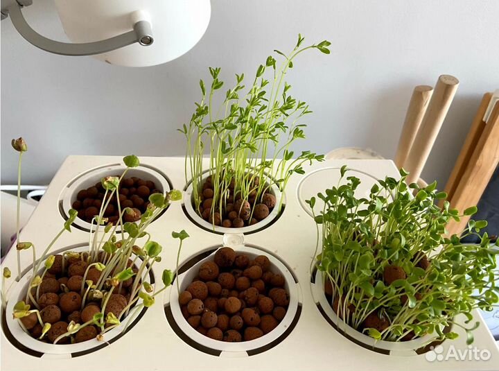 Акваферма в упаковке