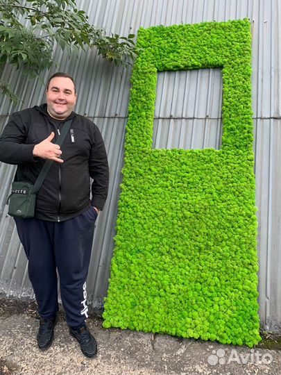 Стабилизированный мох, ягель, розница и опт