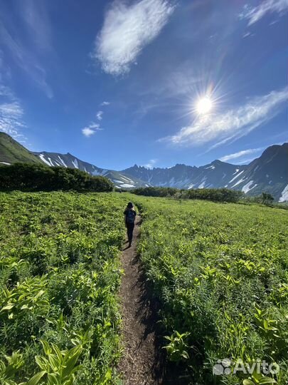 Ганальские востряки