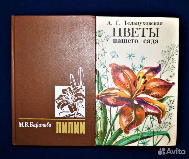 Книги Растения Лилии Дом Сад Участок Цветоводство