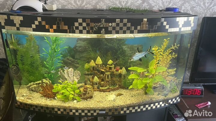 Аквариум