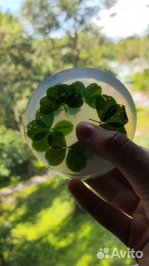 Мыло ручной работы с клевером