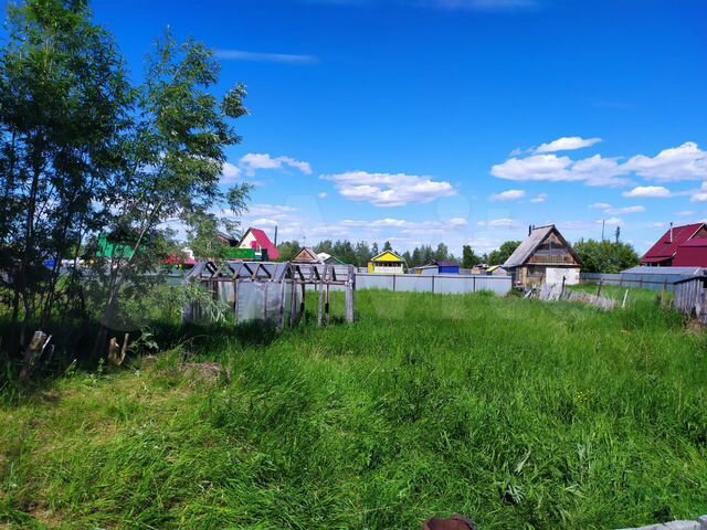 пустой участок в четыре сотки. снт нижневартовск. сот огородник 81 нижневартовск. снт нижневартовск. снт нижневартовск.