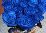 Роза синяя с доставкой