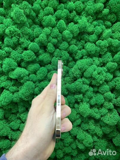 iPhone 13 Pro Max, 1 ТБ