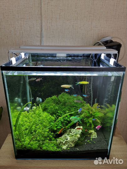 Аквариум с рыбками
